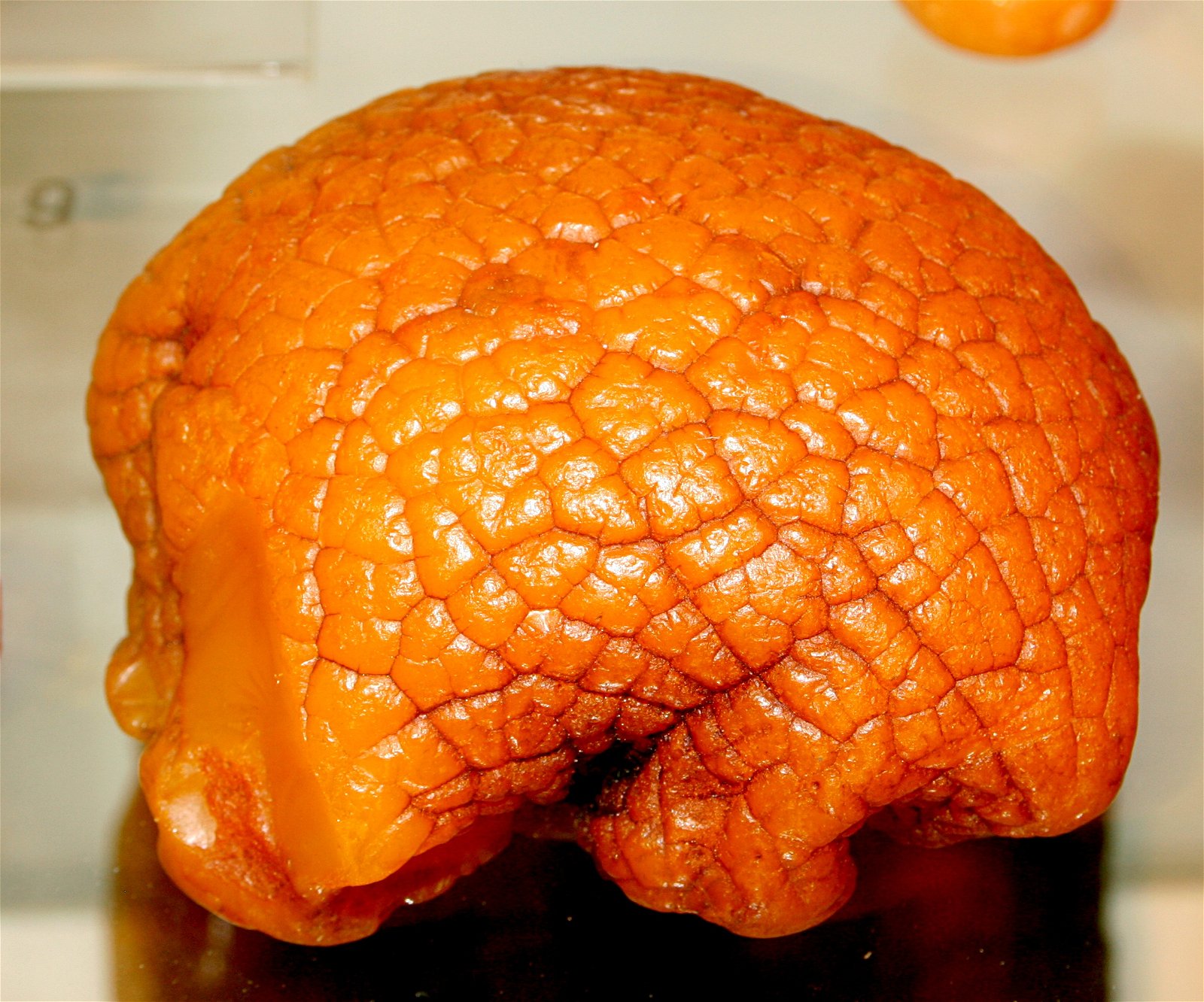 Museum of Archeology