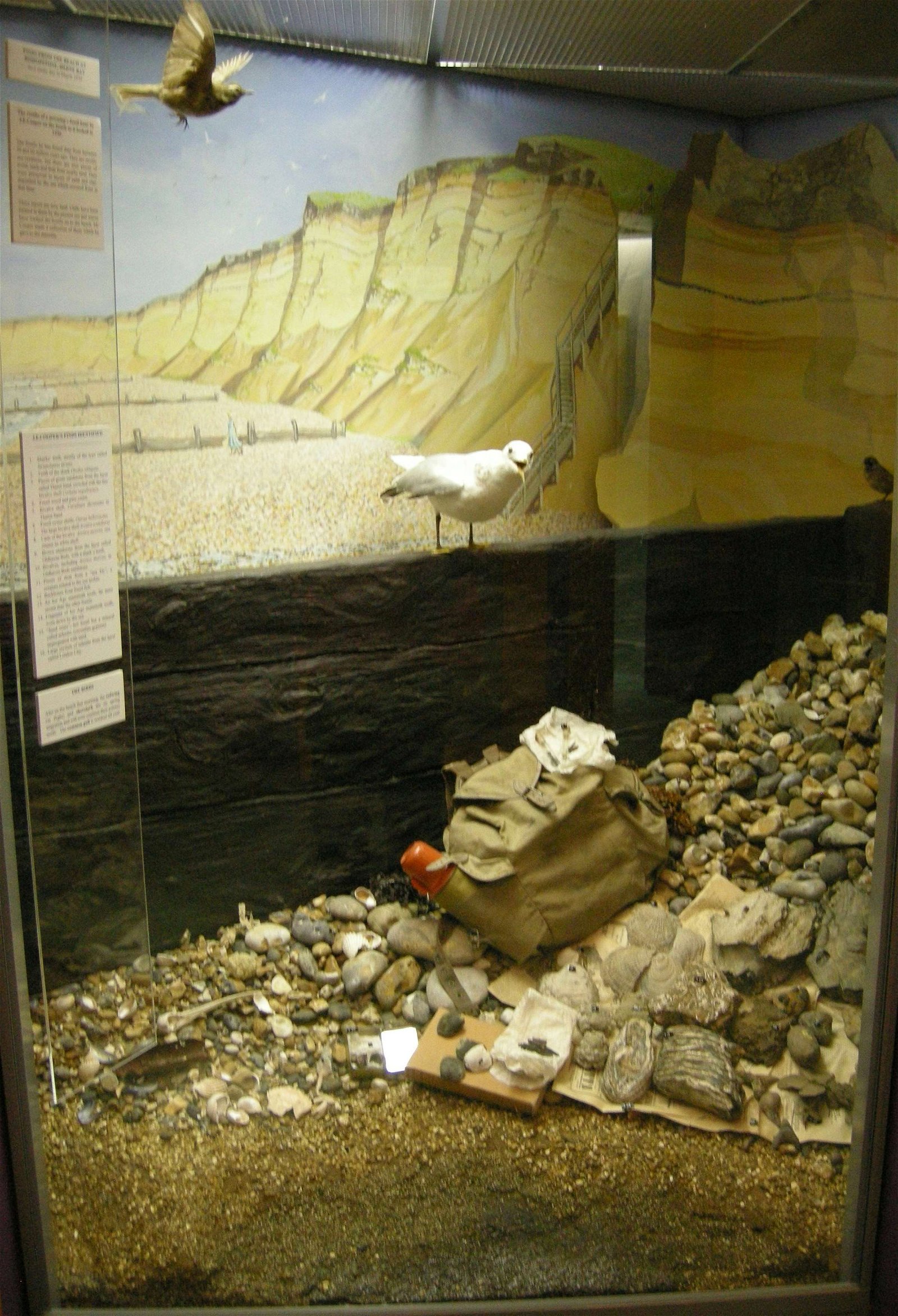 The Seaside Museum, Herne Bay