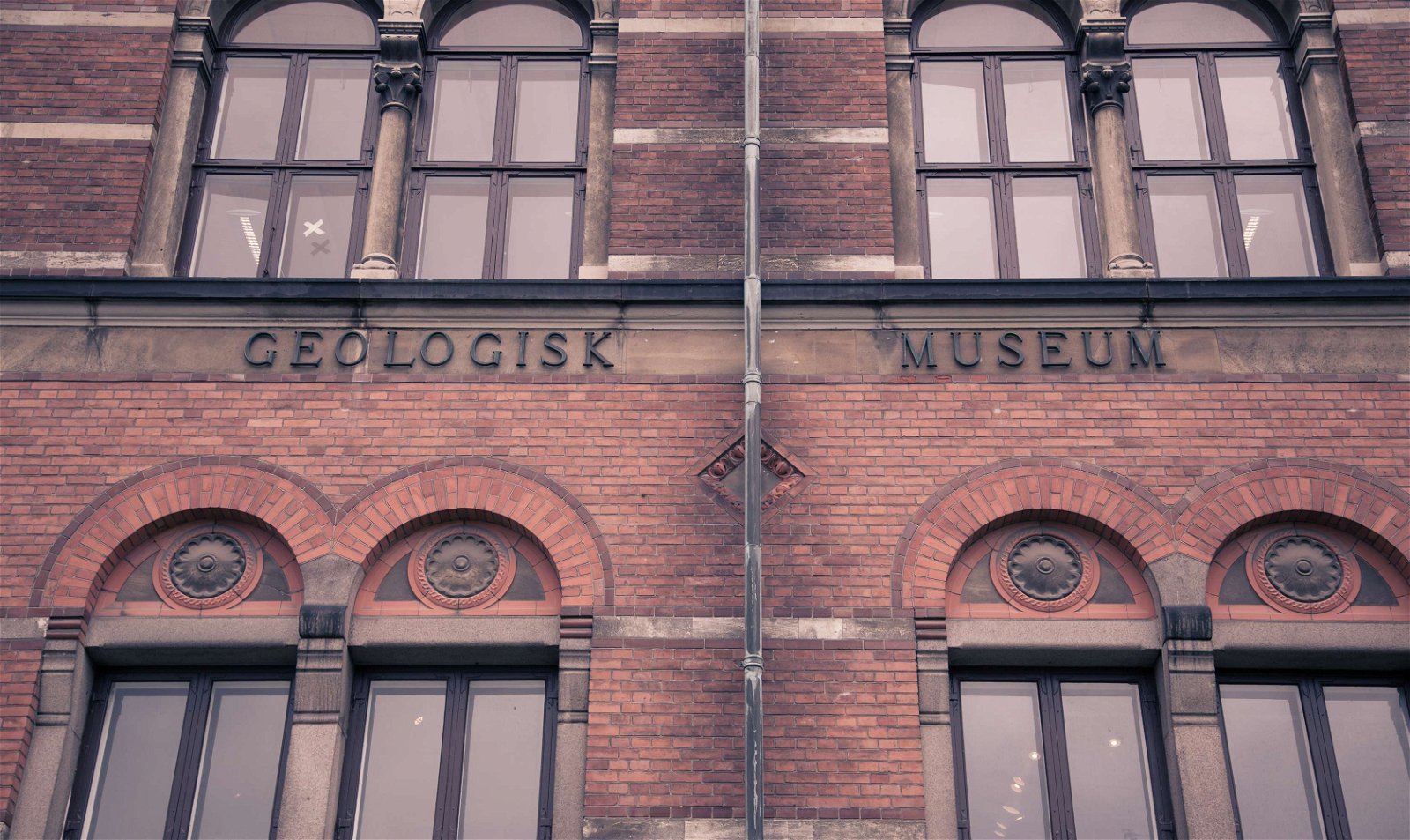 Natural History Museum Of Denmark (Copenhagen) - Visitor Information ...