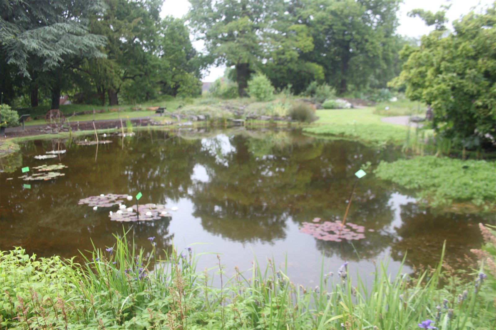 University of Bristol Botanic Garden