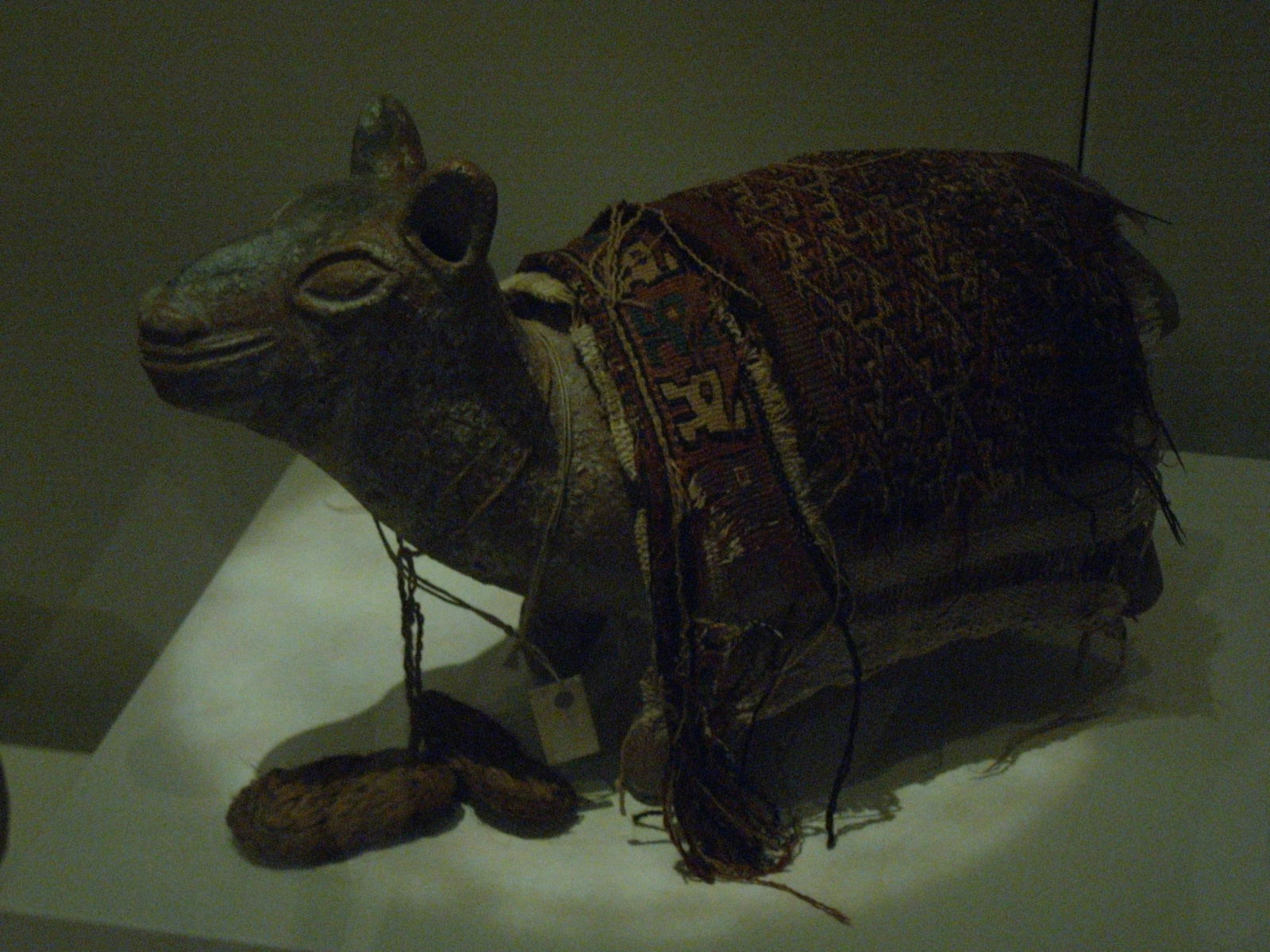 Pigorini National Museum of Prehistory and Ethnography