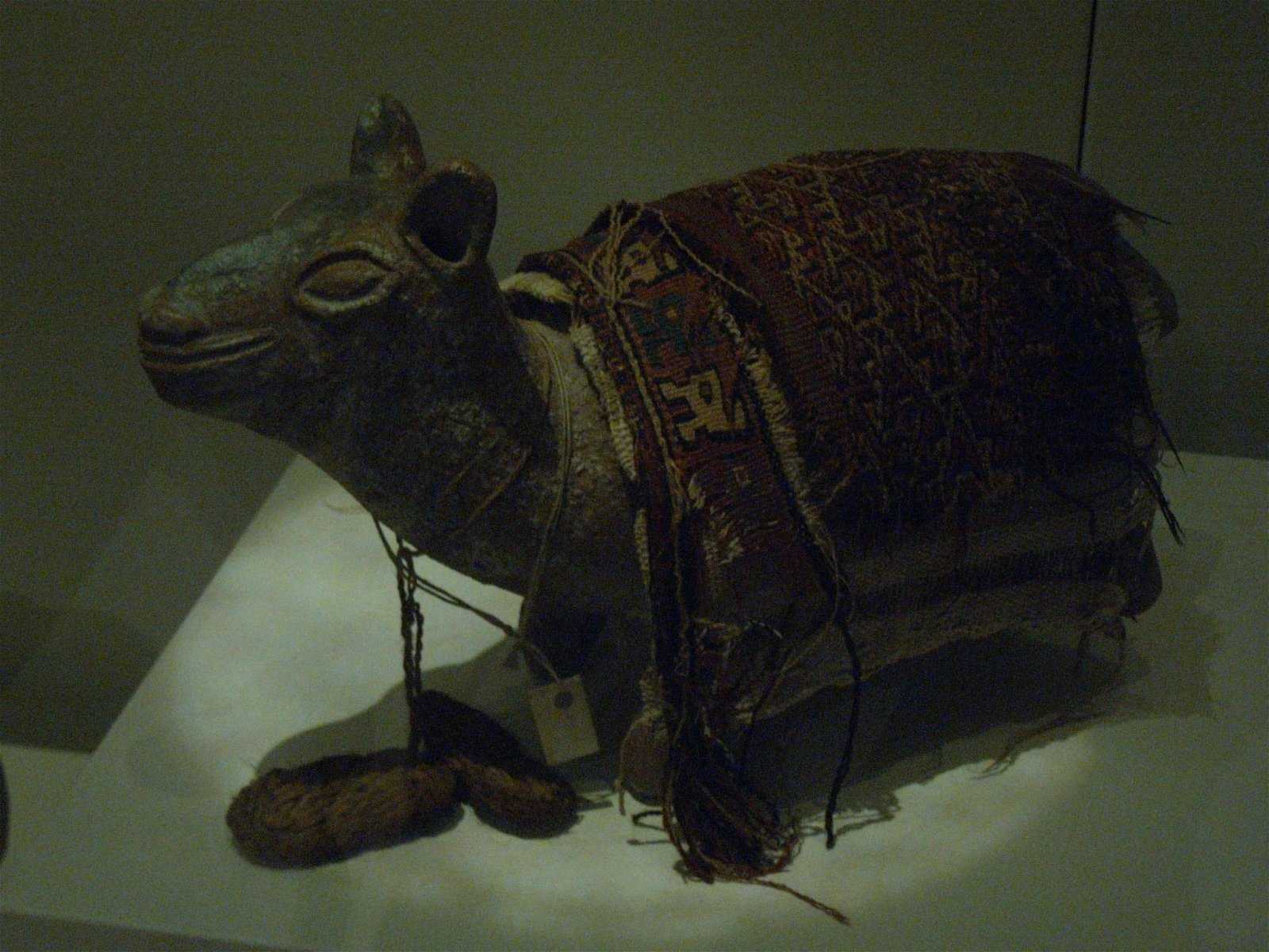 Pigorini National Museum of Prehistory and Ethnography