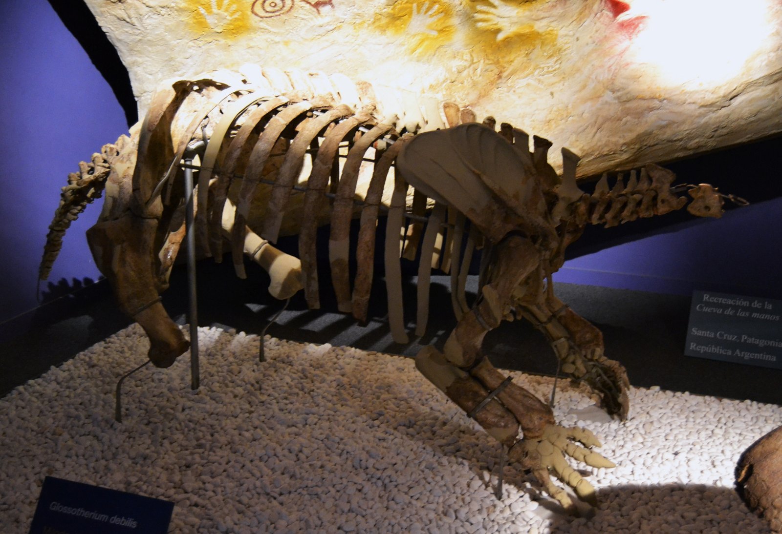 Museum of Natural Science