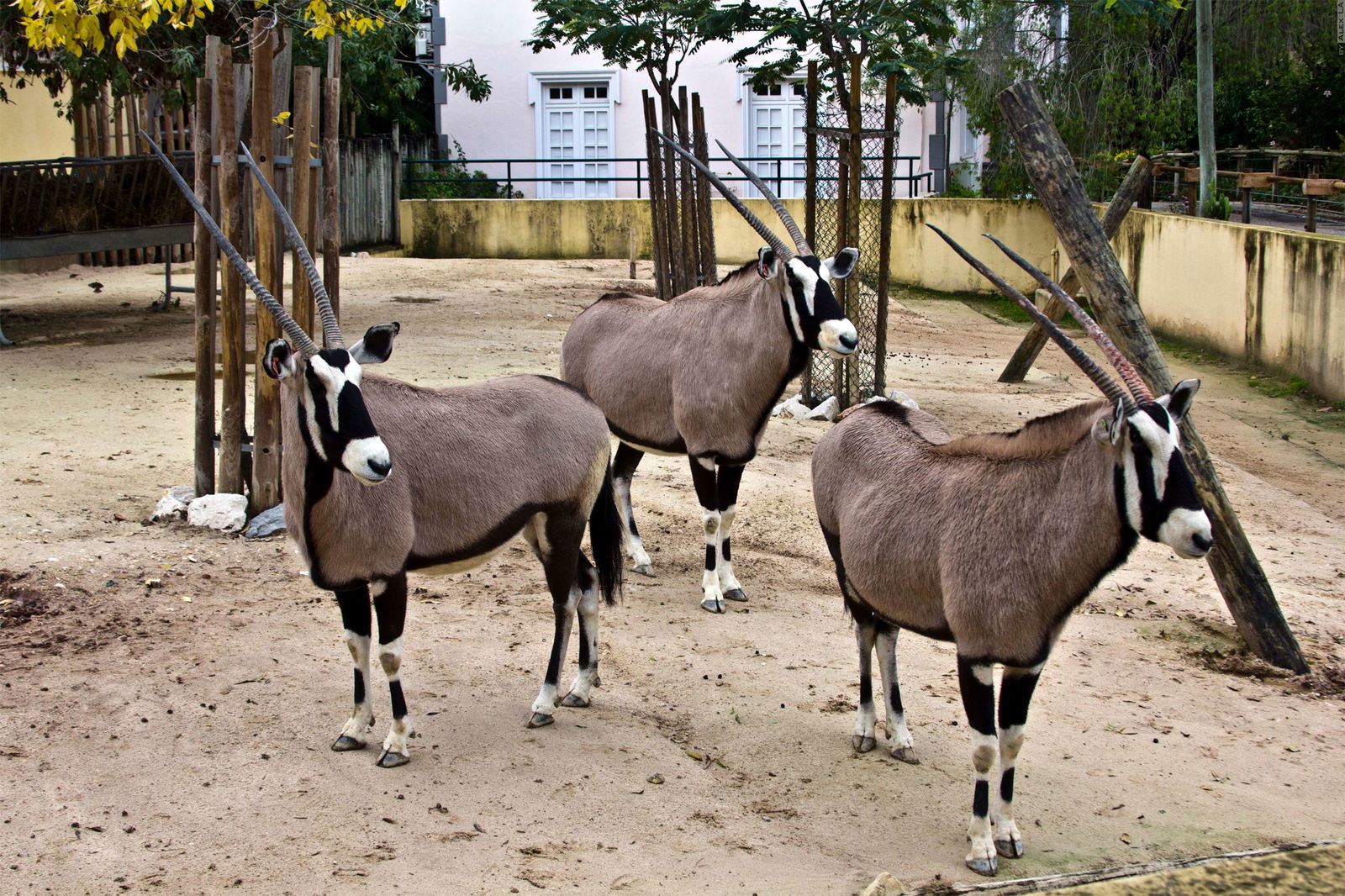 Lisbon Zoo