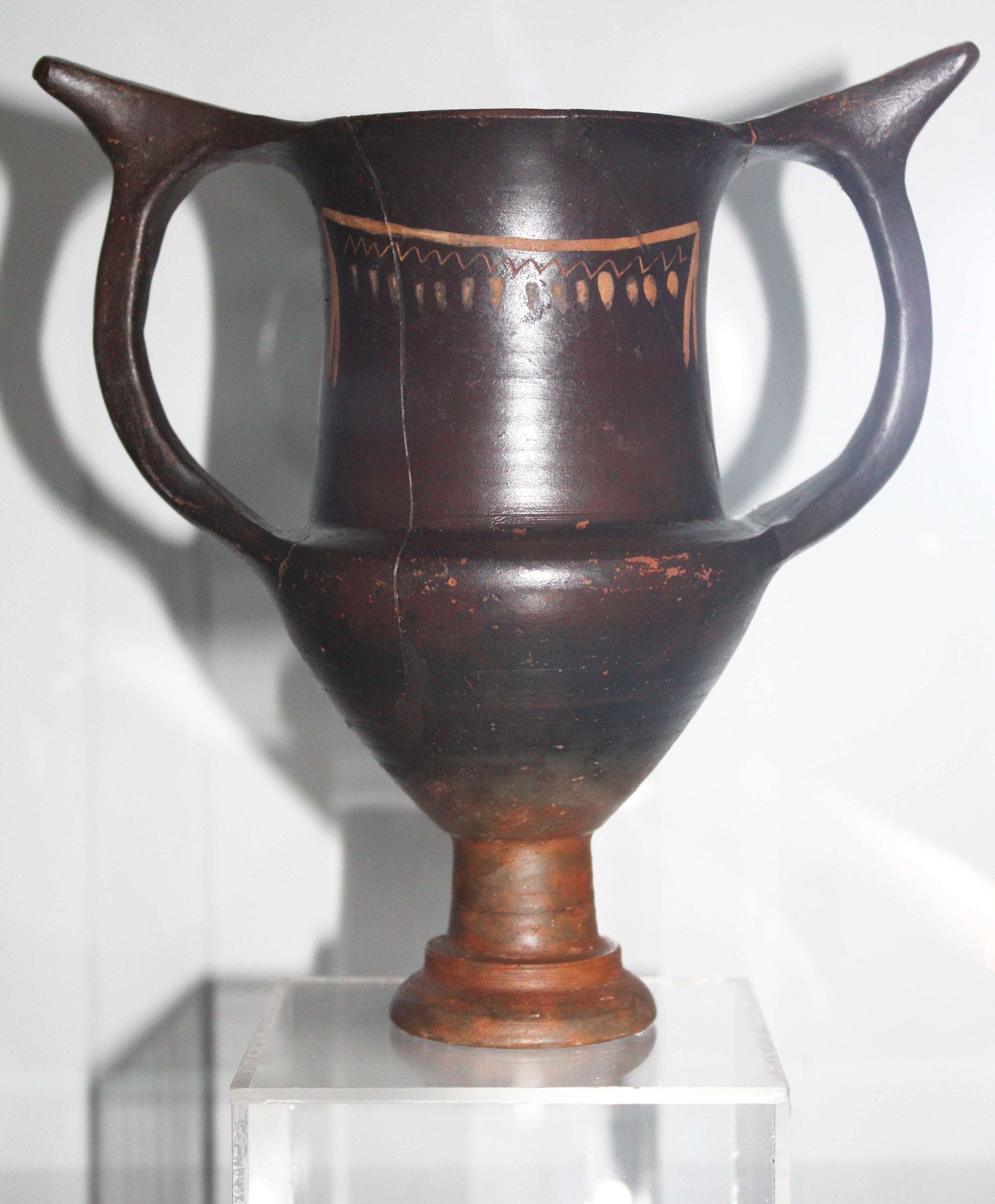 National History Museum