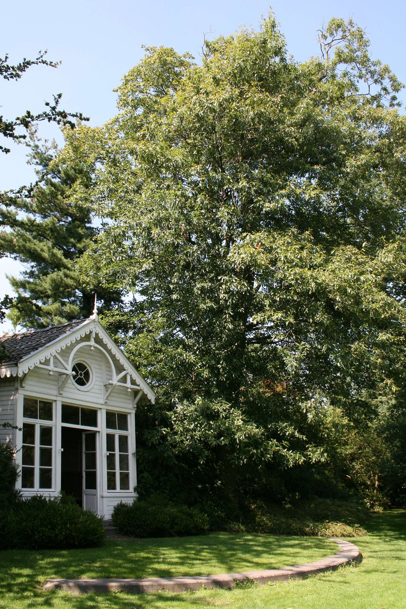 Arboretum Kalmthout
