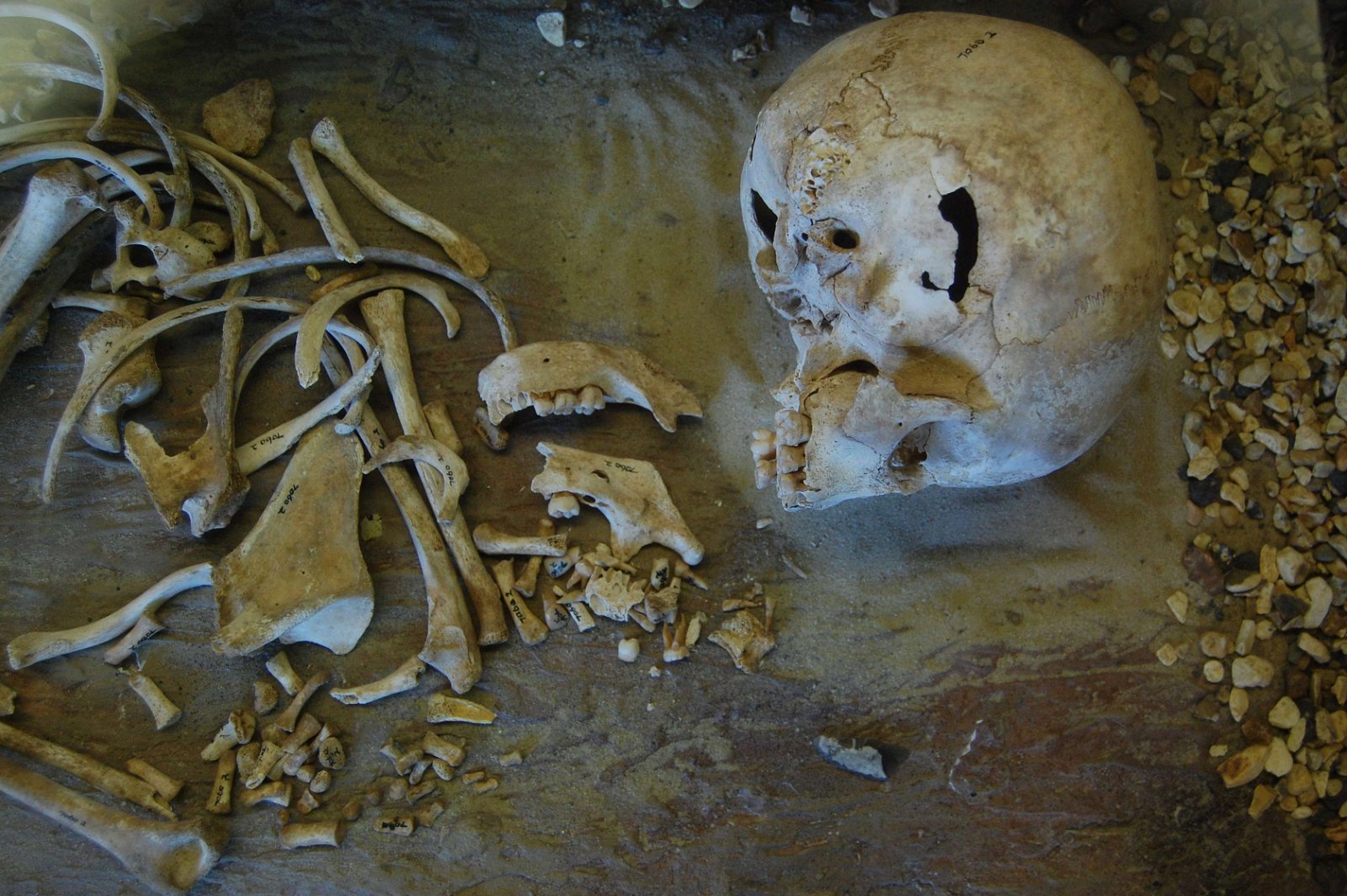 Leominster Museum Herefordshire