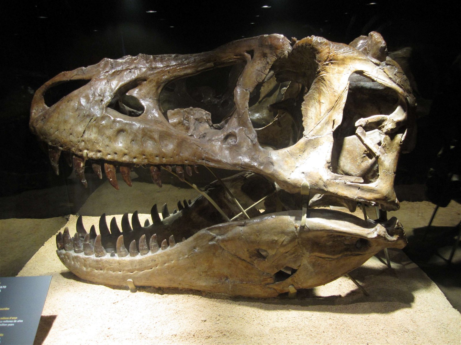 CosmoCaixa Barcelona