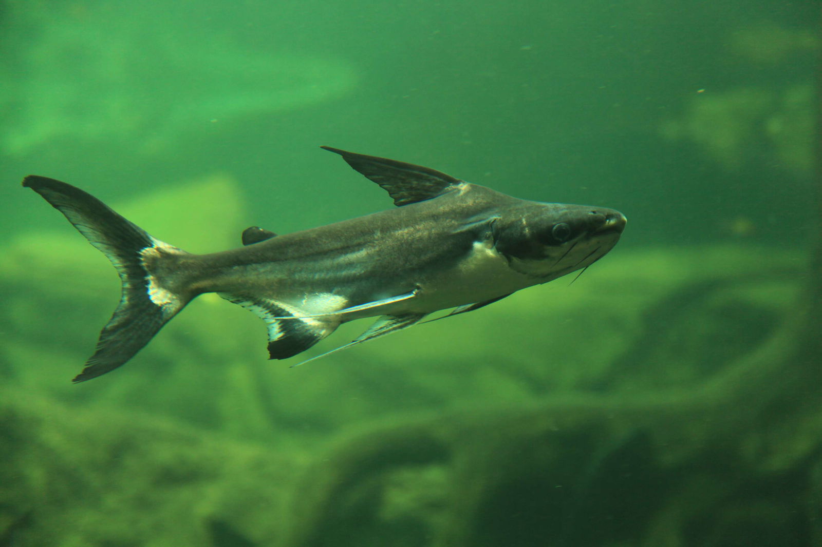 Zoologischer Garten Leipzig