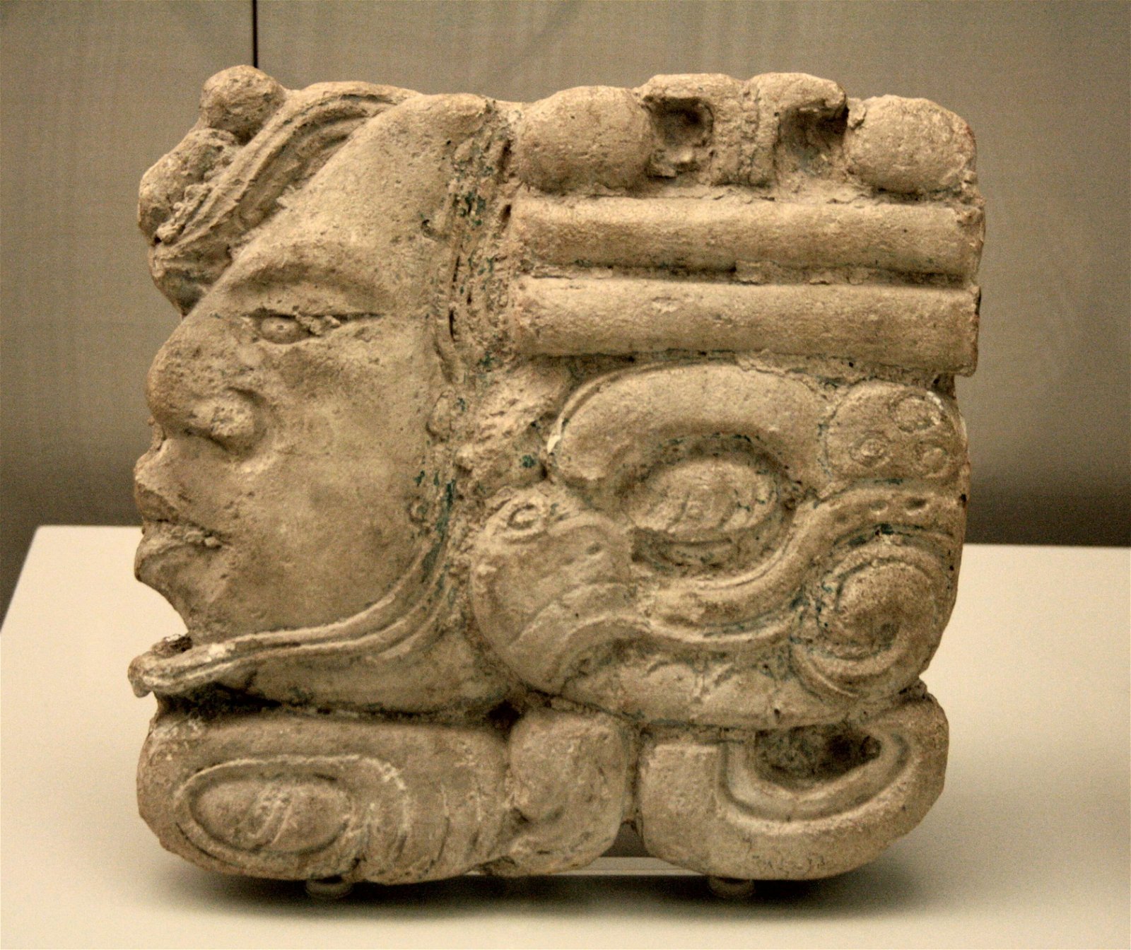 Museum of the Americas