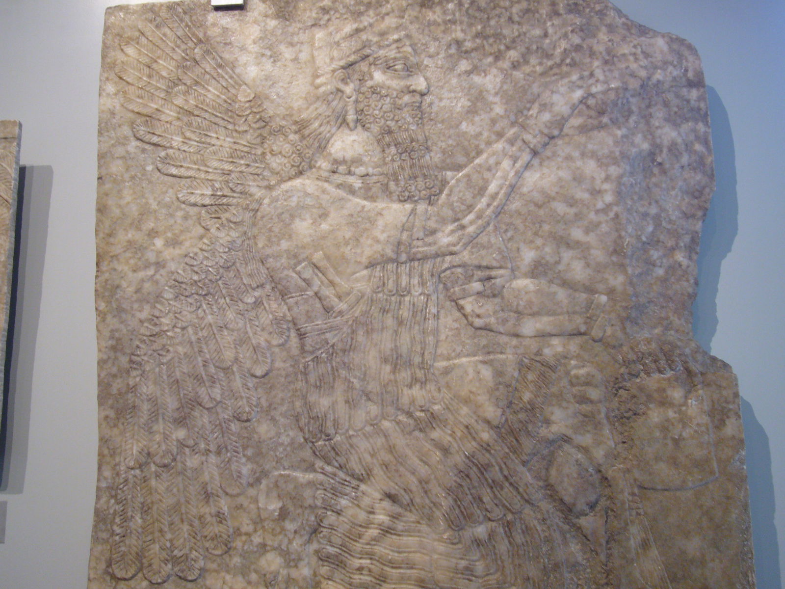 Museo di Scultura Antica Giovanni Barracco