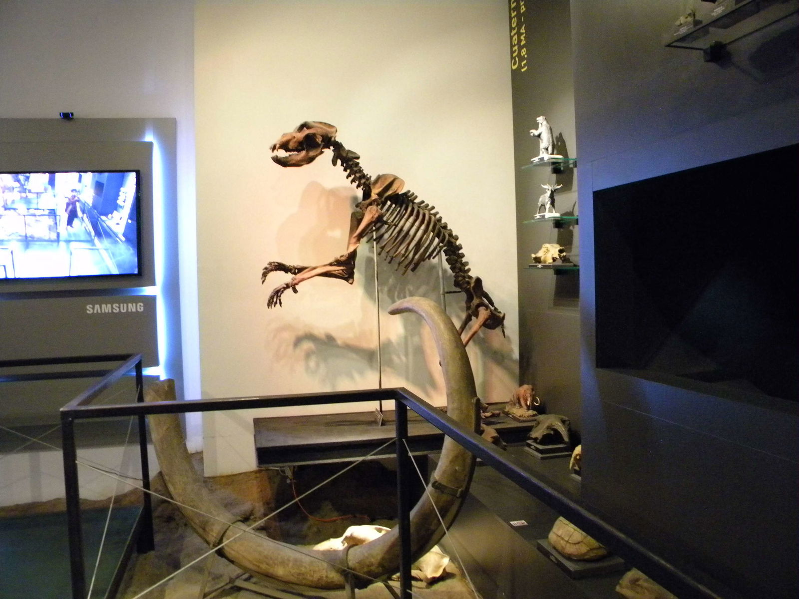 Grigore Antipa National Museum of Natural History