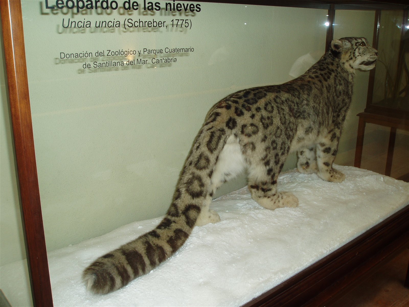 National Museum of Natural Sciences of Spain