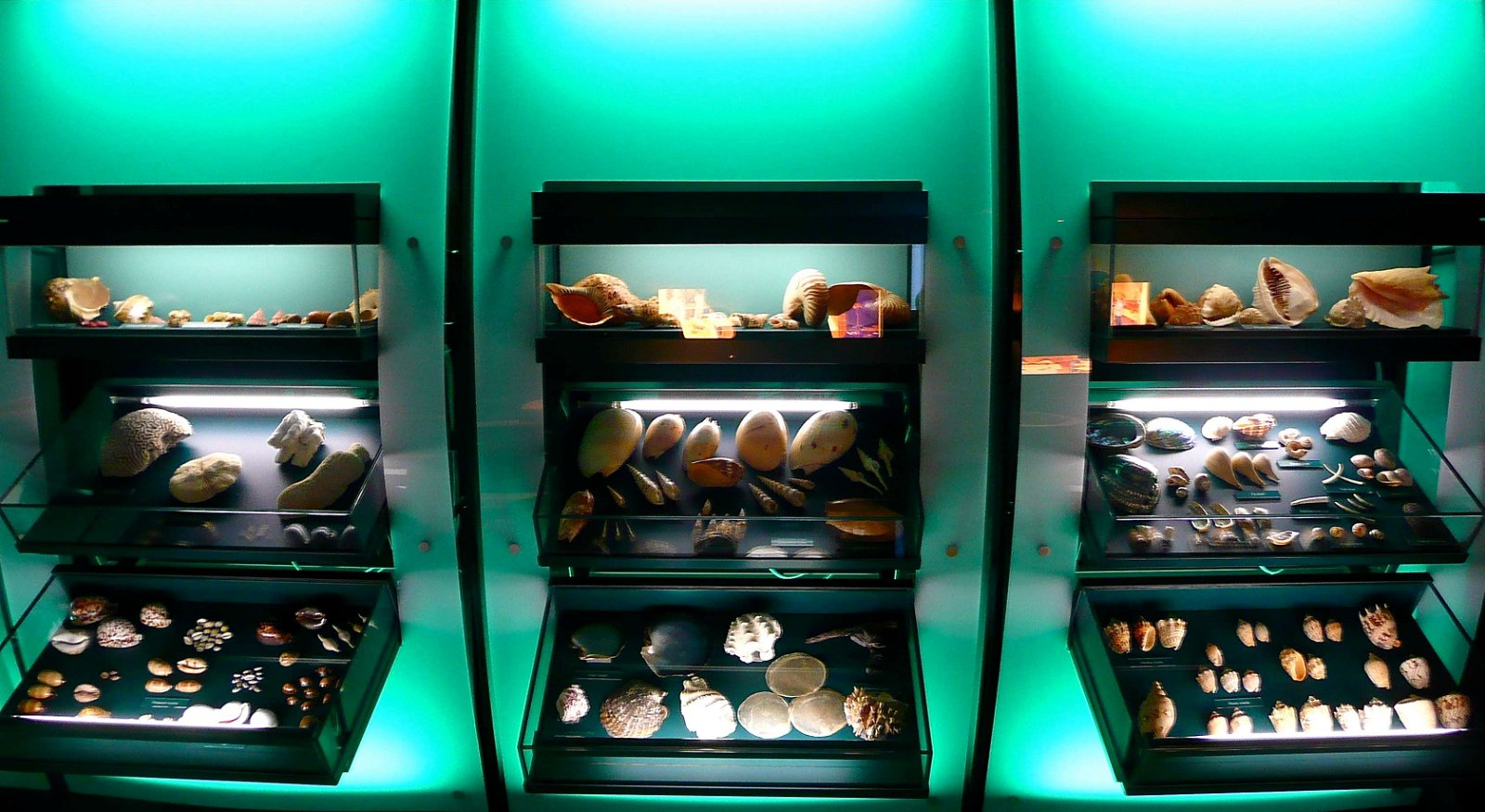 Herbert Art Gallery and Museum