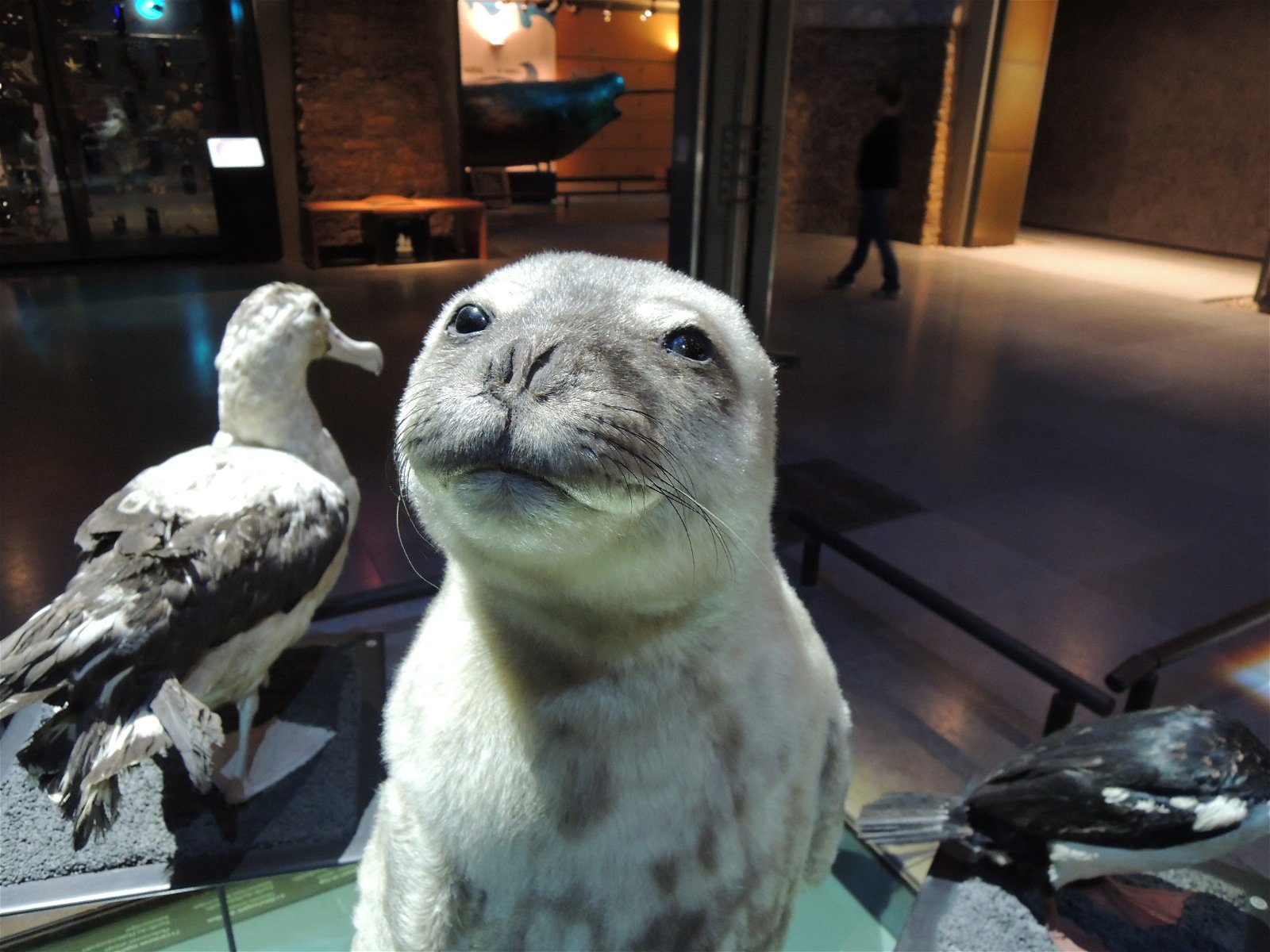 Grande Galerie de l'Evolution