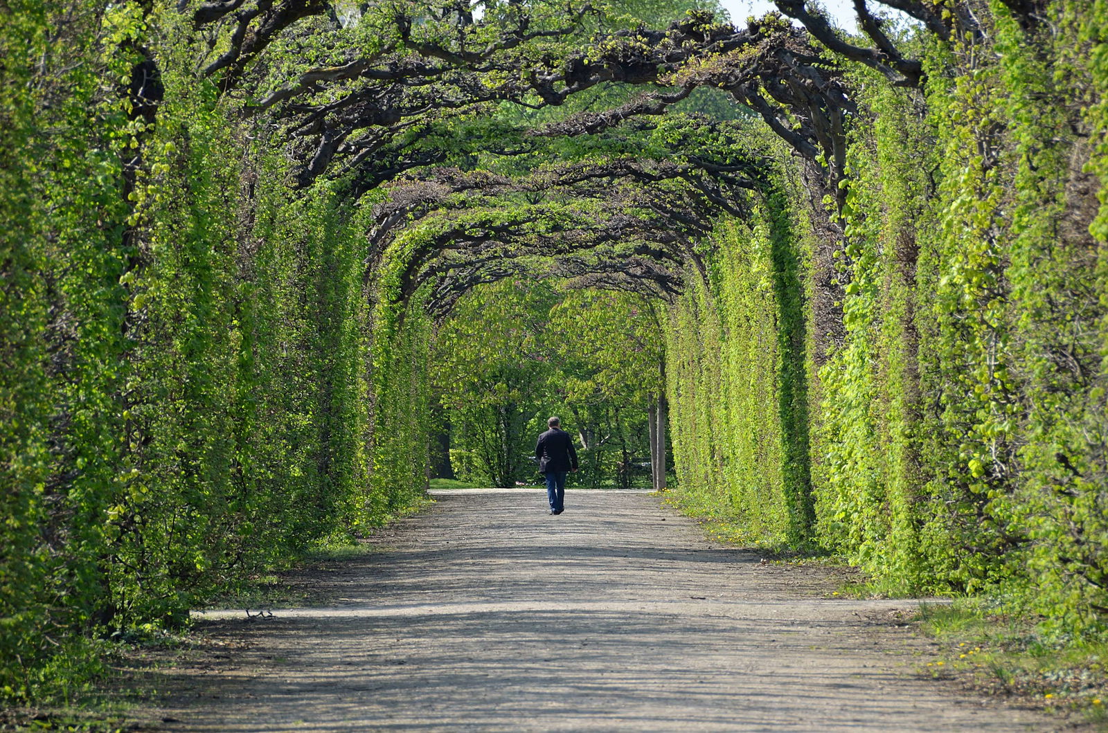 Gärten von Schönbrunn