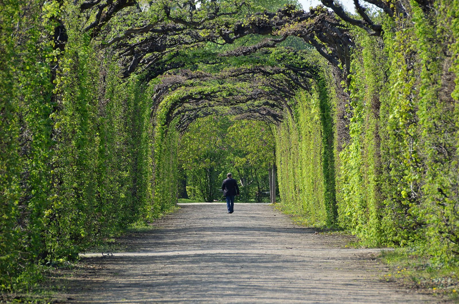 Schonbrunner Gardens