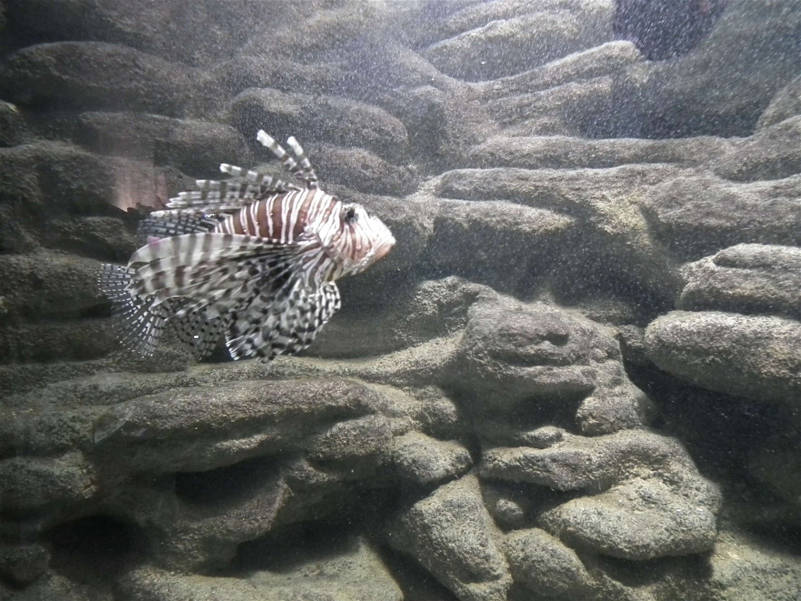 Aquarium and Museum of Natural History in Krakow