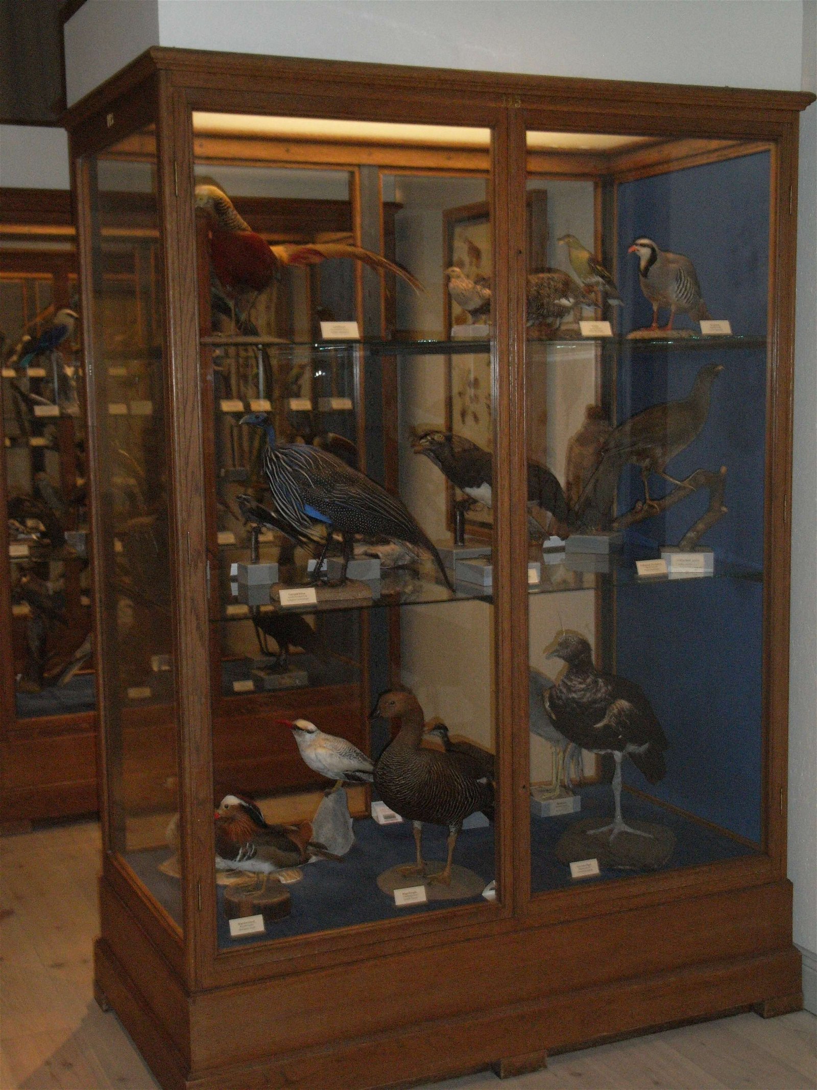 Swedish Museum of Natural History