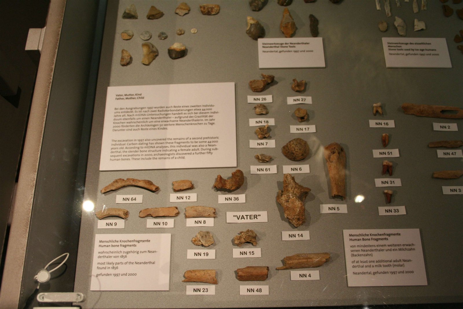 Neanderthal Museum