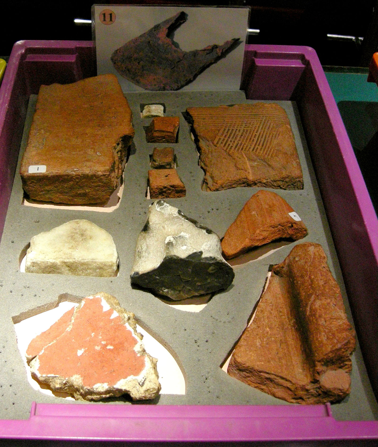 Canterbury Roman Museum