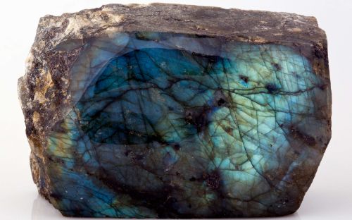 Geology Collections, University College London