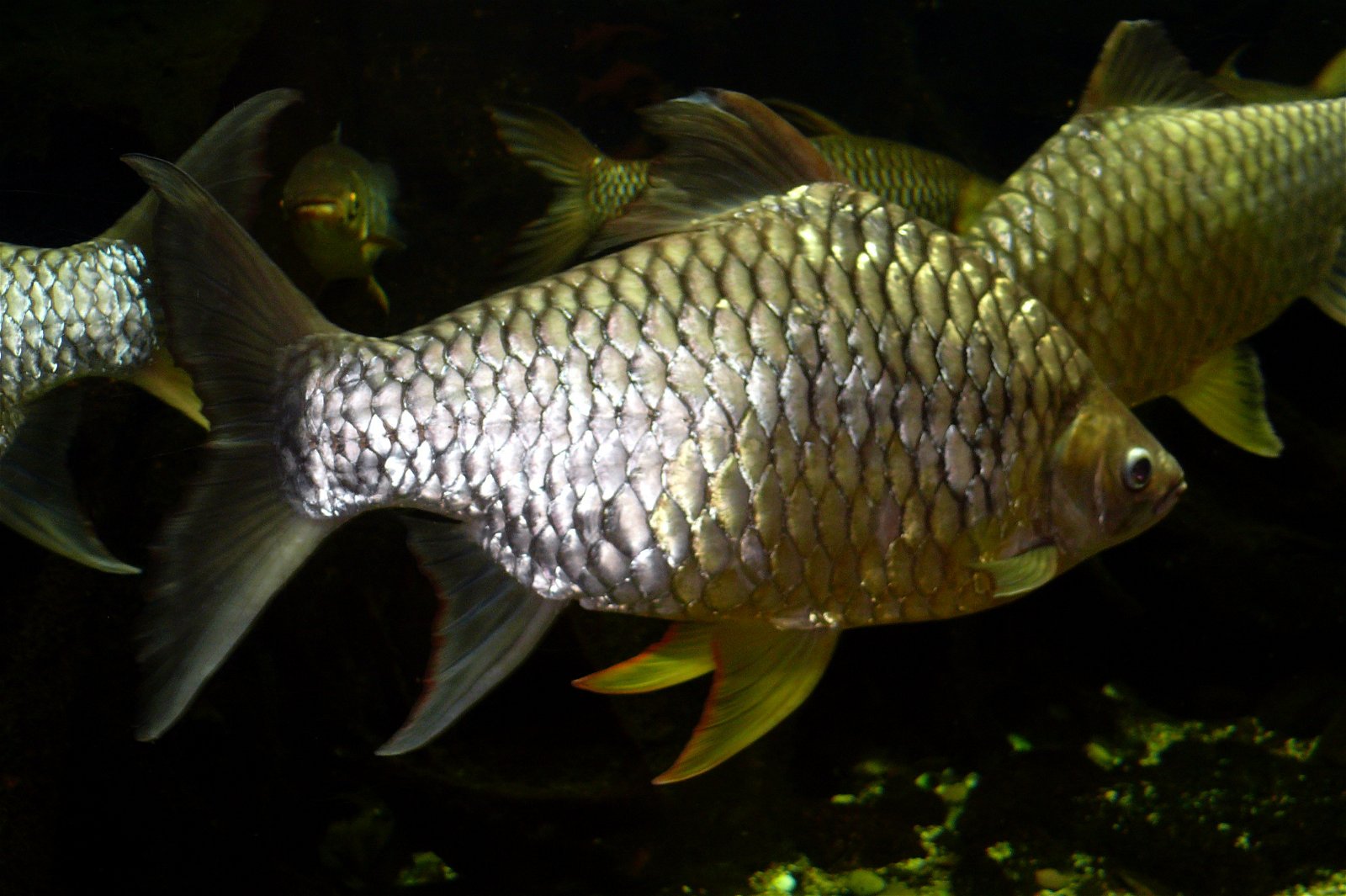 Aquazoo – Löbbecke-Museum Düsseldorf