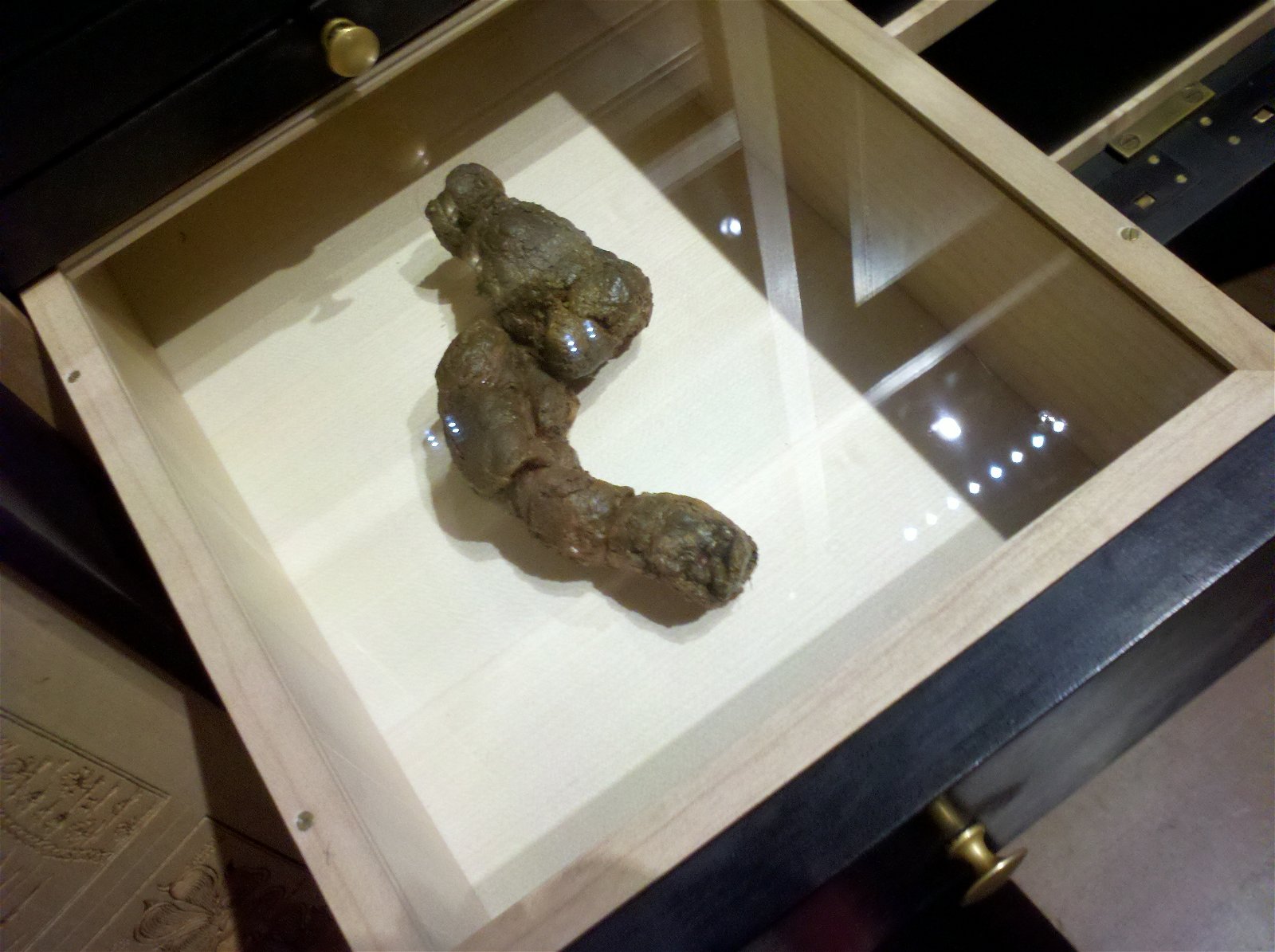 Musée de la Chasse et de la Nature