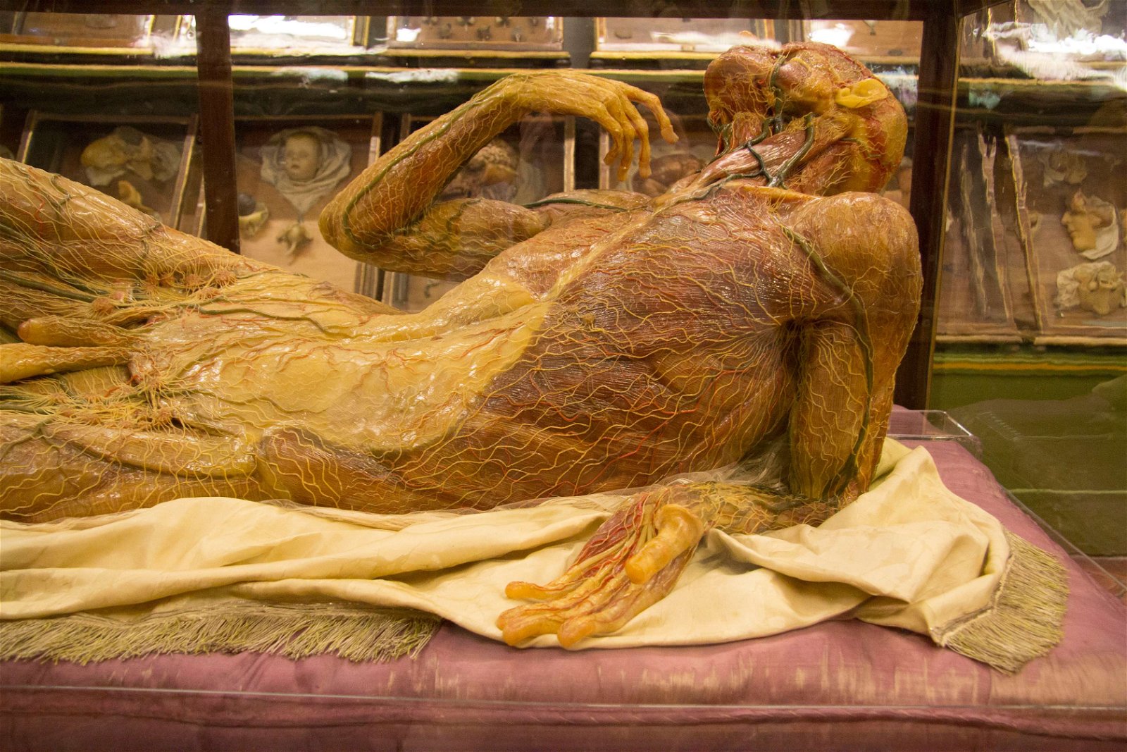 La Specola - Museum of Zoology and Natural History