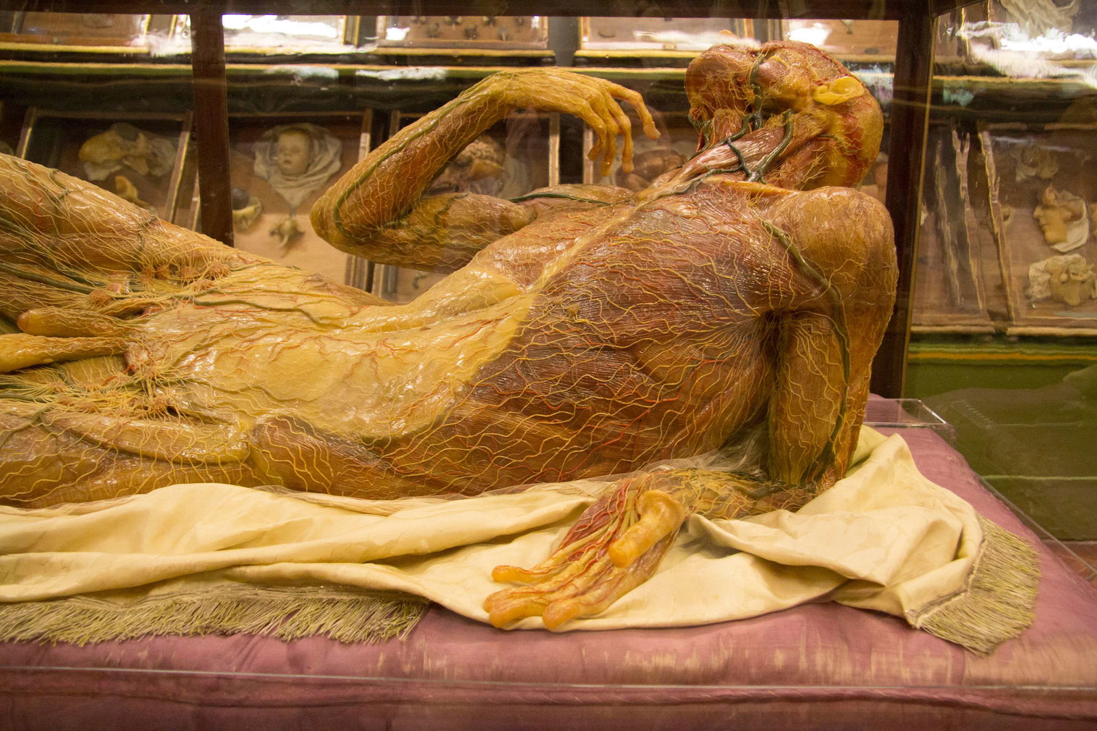 Museo Zoologico La Specola