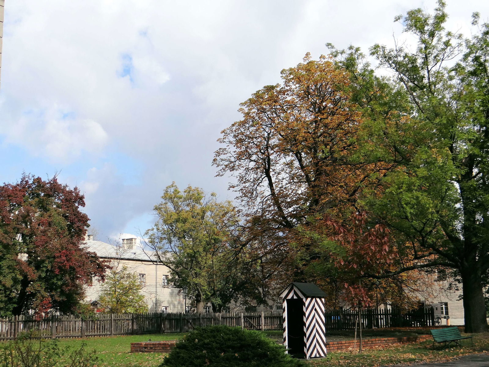 Museum of Pavilion X