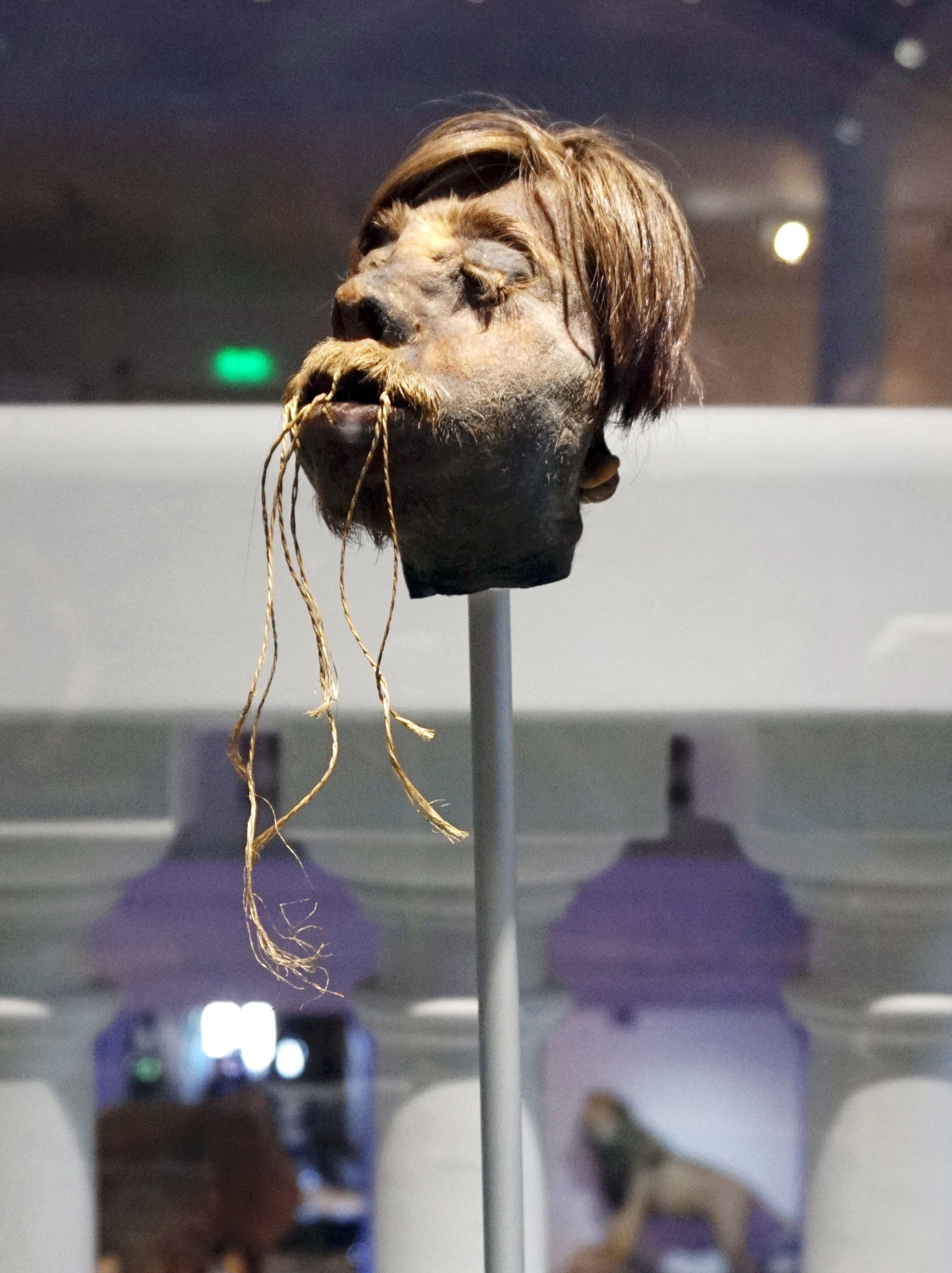 Grigore Antipa National Museum of Natural History