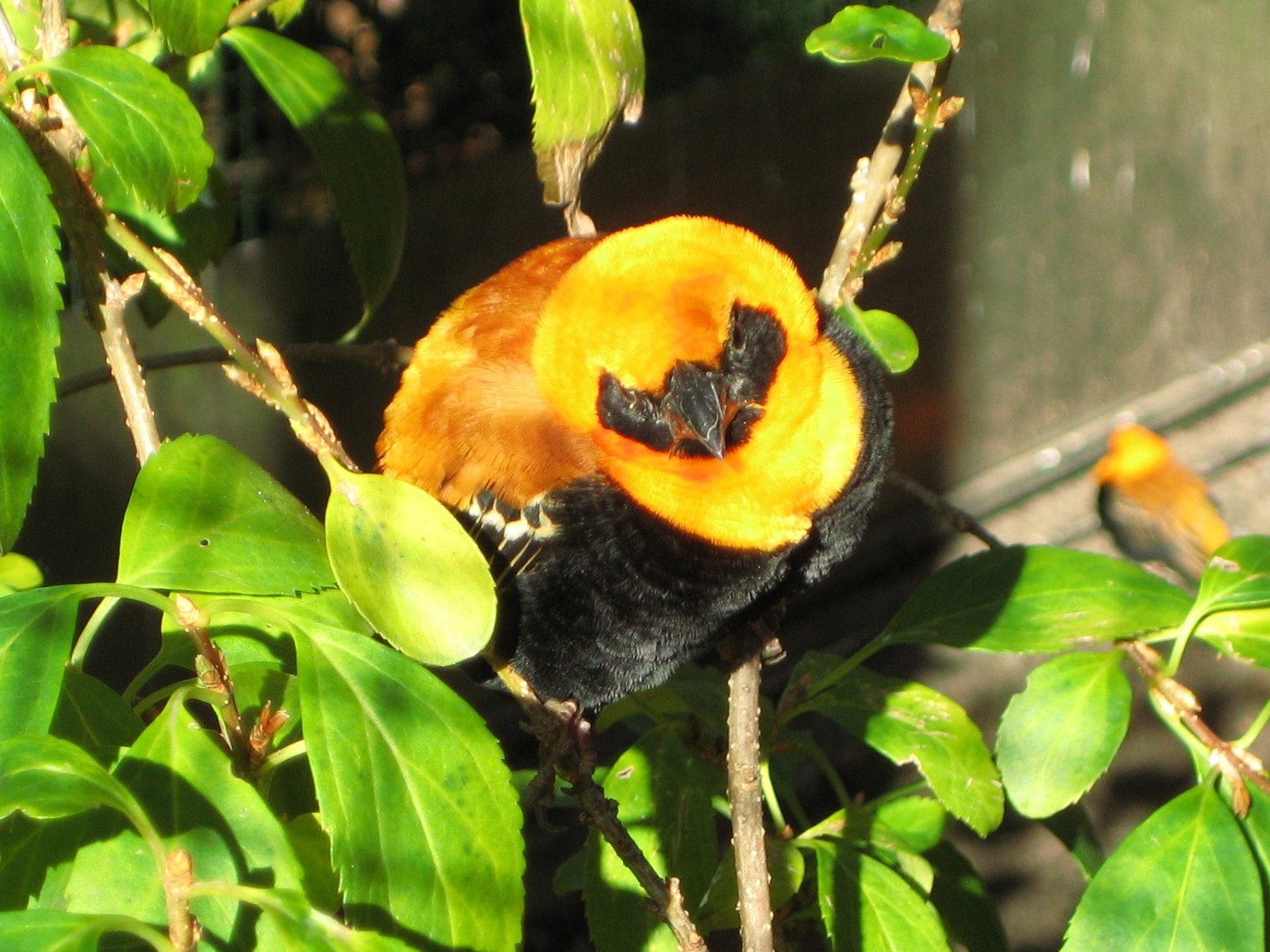 Berlin Zoological Garden