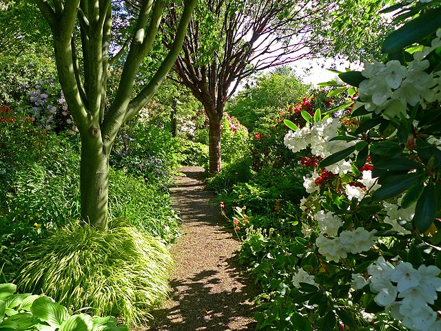 Branklyn Garden
