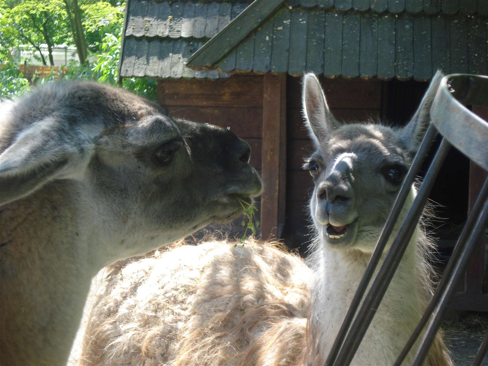 Wroclaw Zoo & Africarium