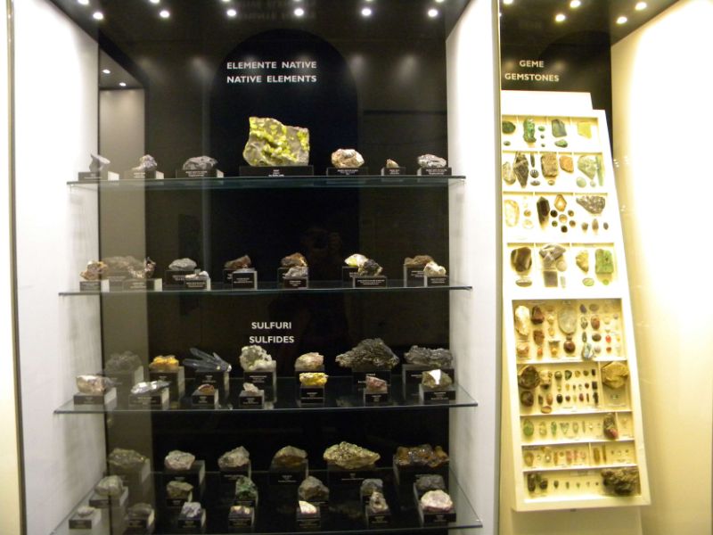 Grigore Antipa National Museum of Natural History