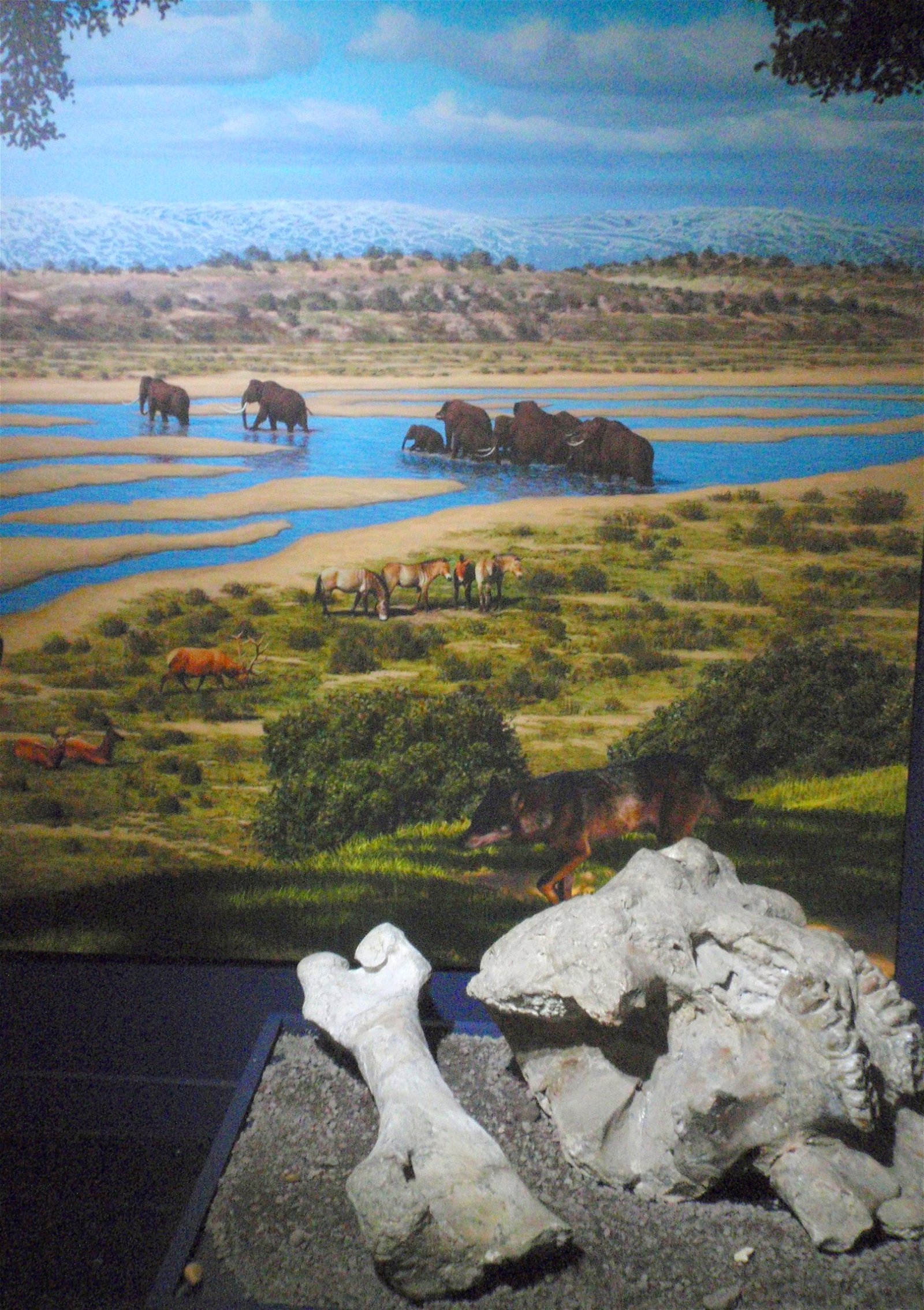 Museo Elder de la Ciencia y la Tecnología