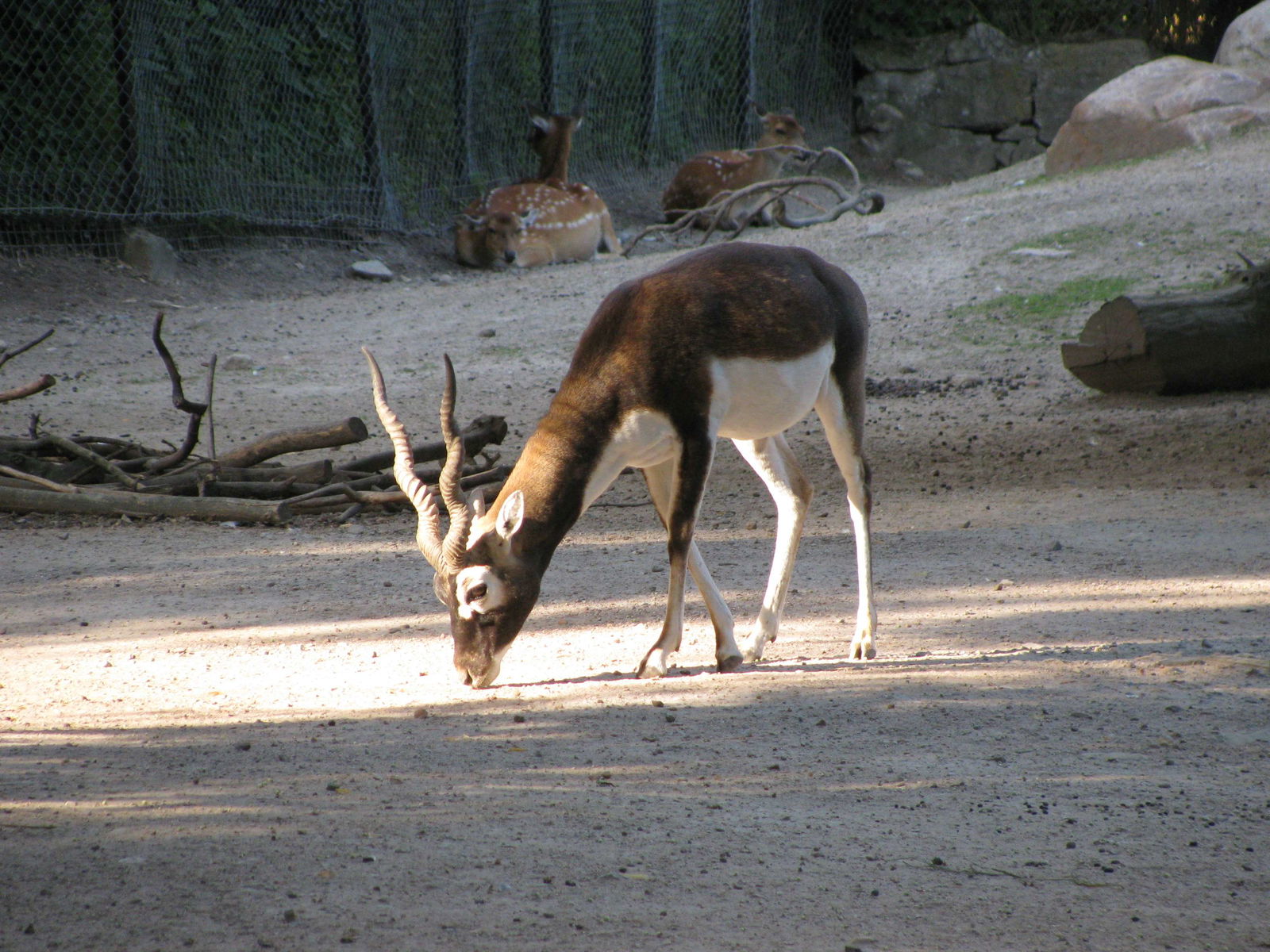 Tierpark Hagenbeck