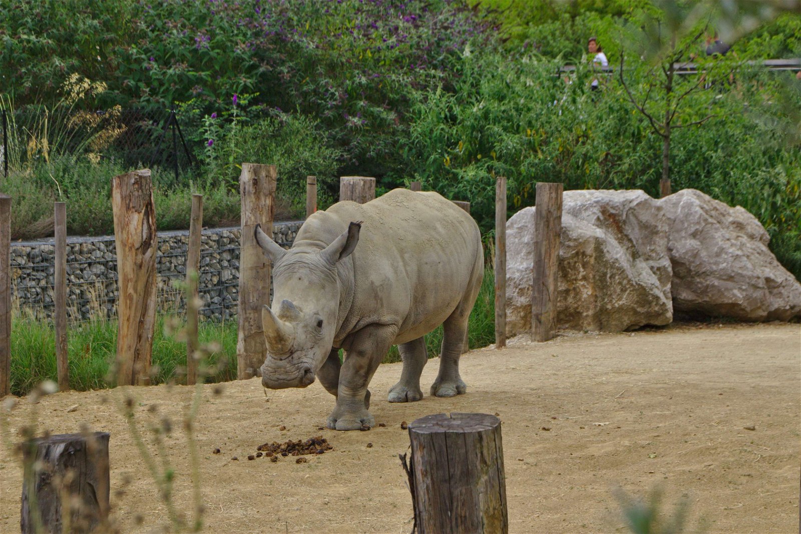 Parc zoologique de Paris
