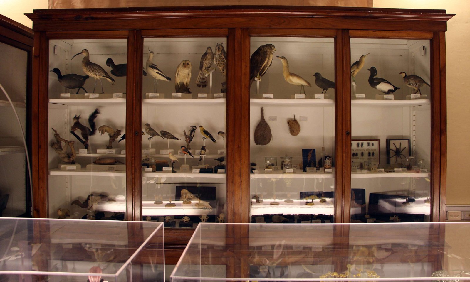 Villa del Poggio Imperiale