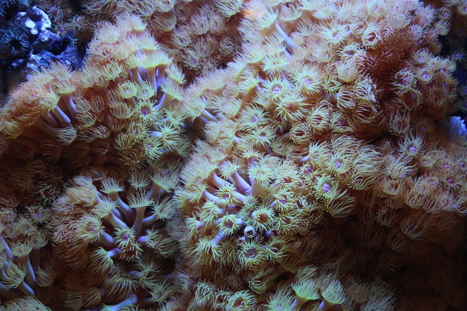 Aquazoo – Löbbecke-Museum Düsseldorf