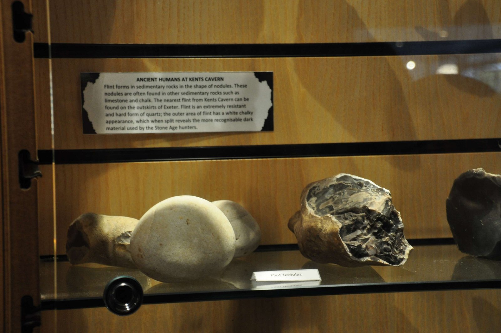 Kents Cavern Prehistoric Caves