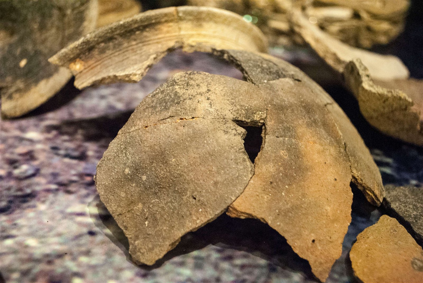 Roman Museum at the Hoher Markt