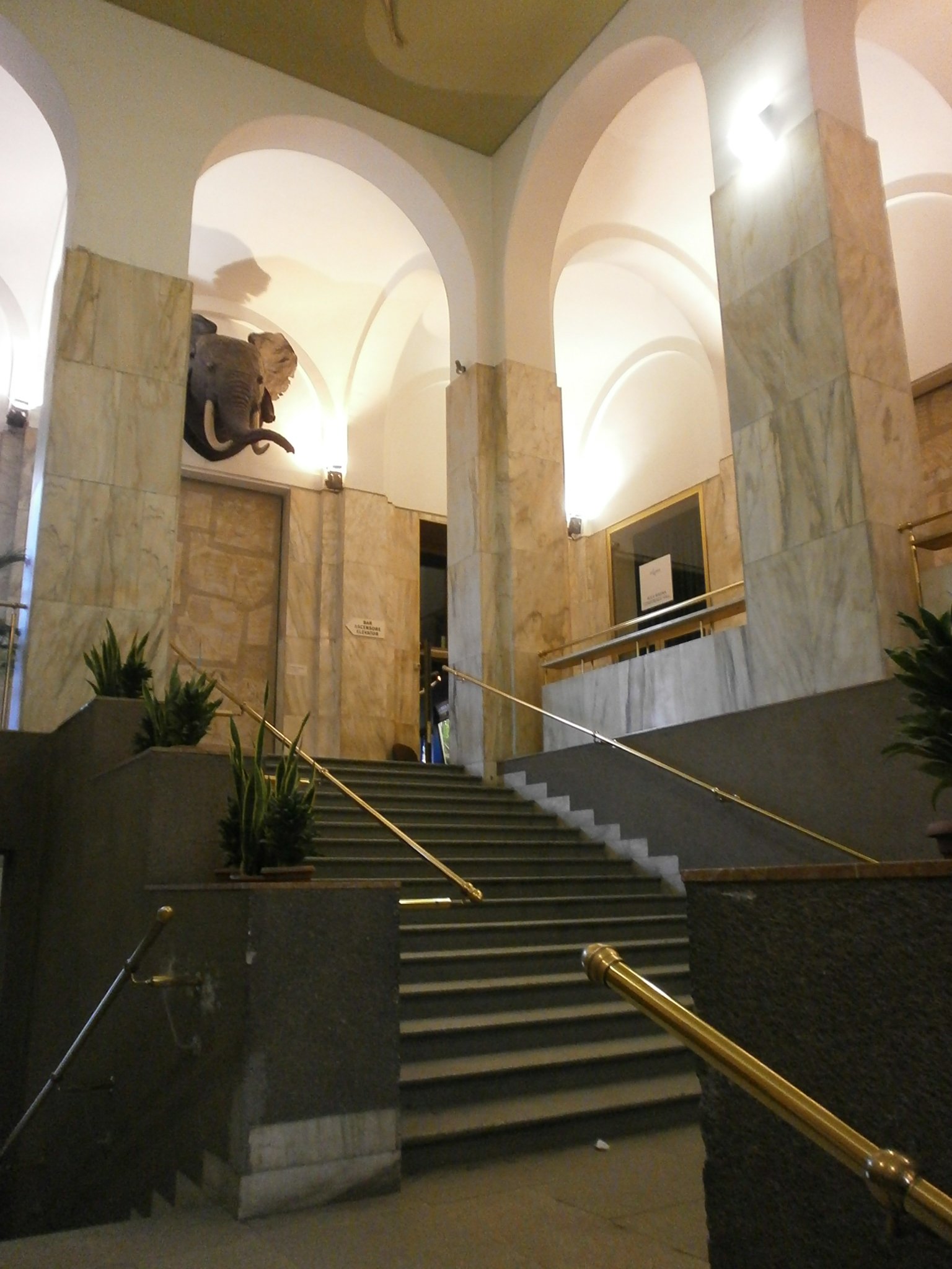 Museum of Natural History