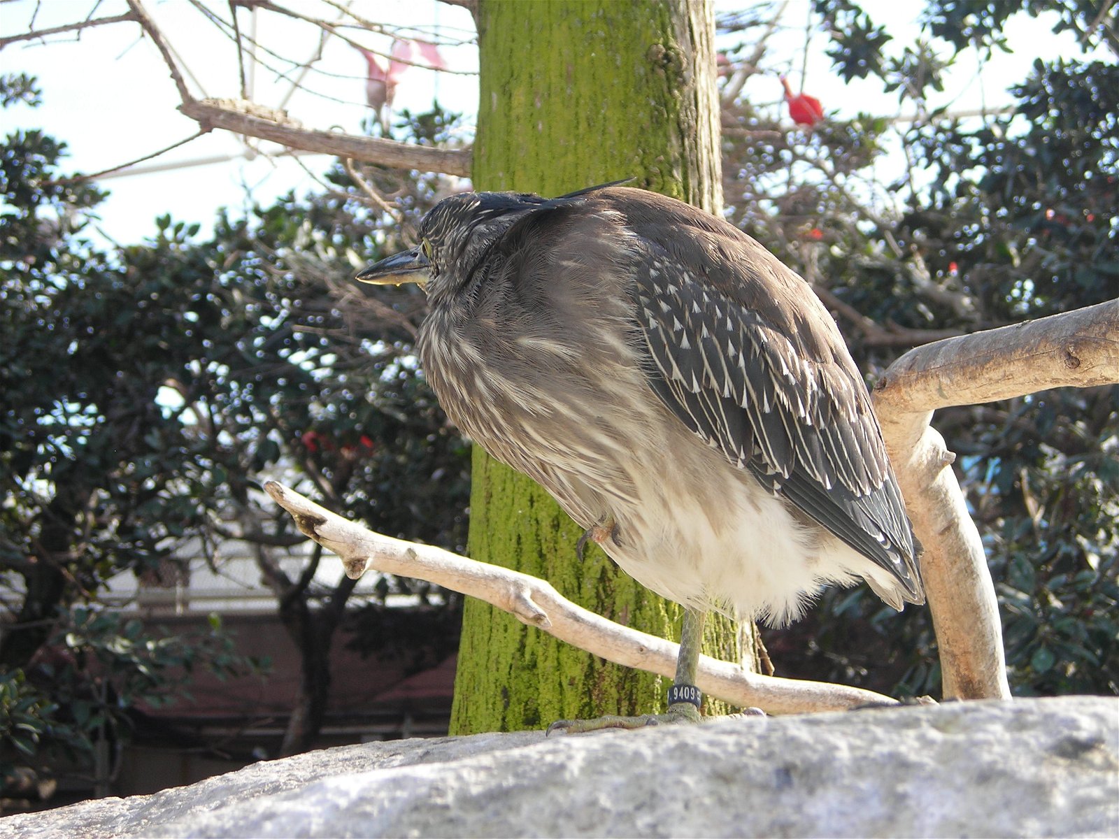 Oceanogràfic of Valencia