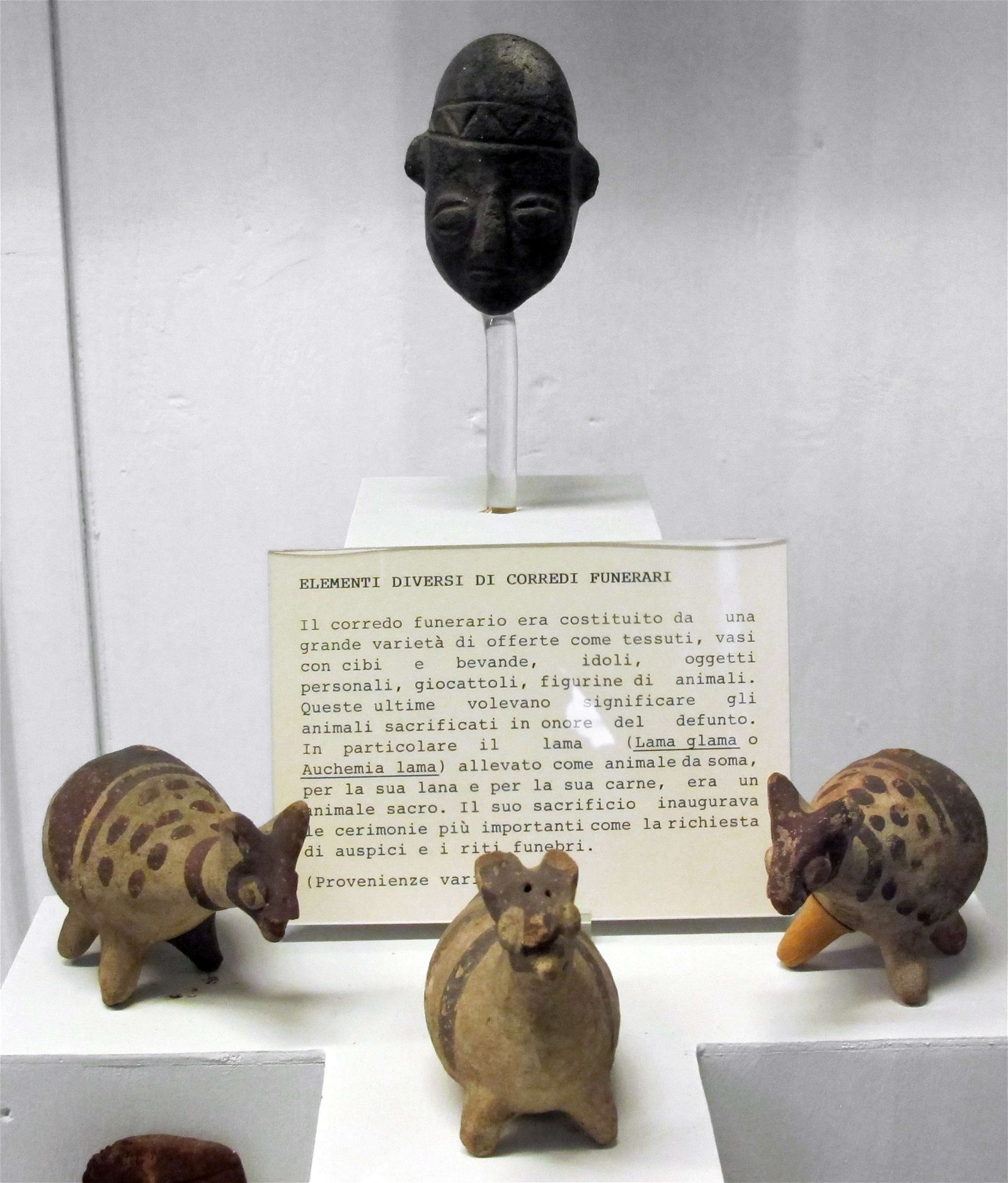 Museum of Anthropology and Ethnology