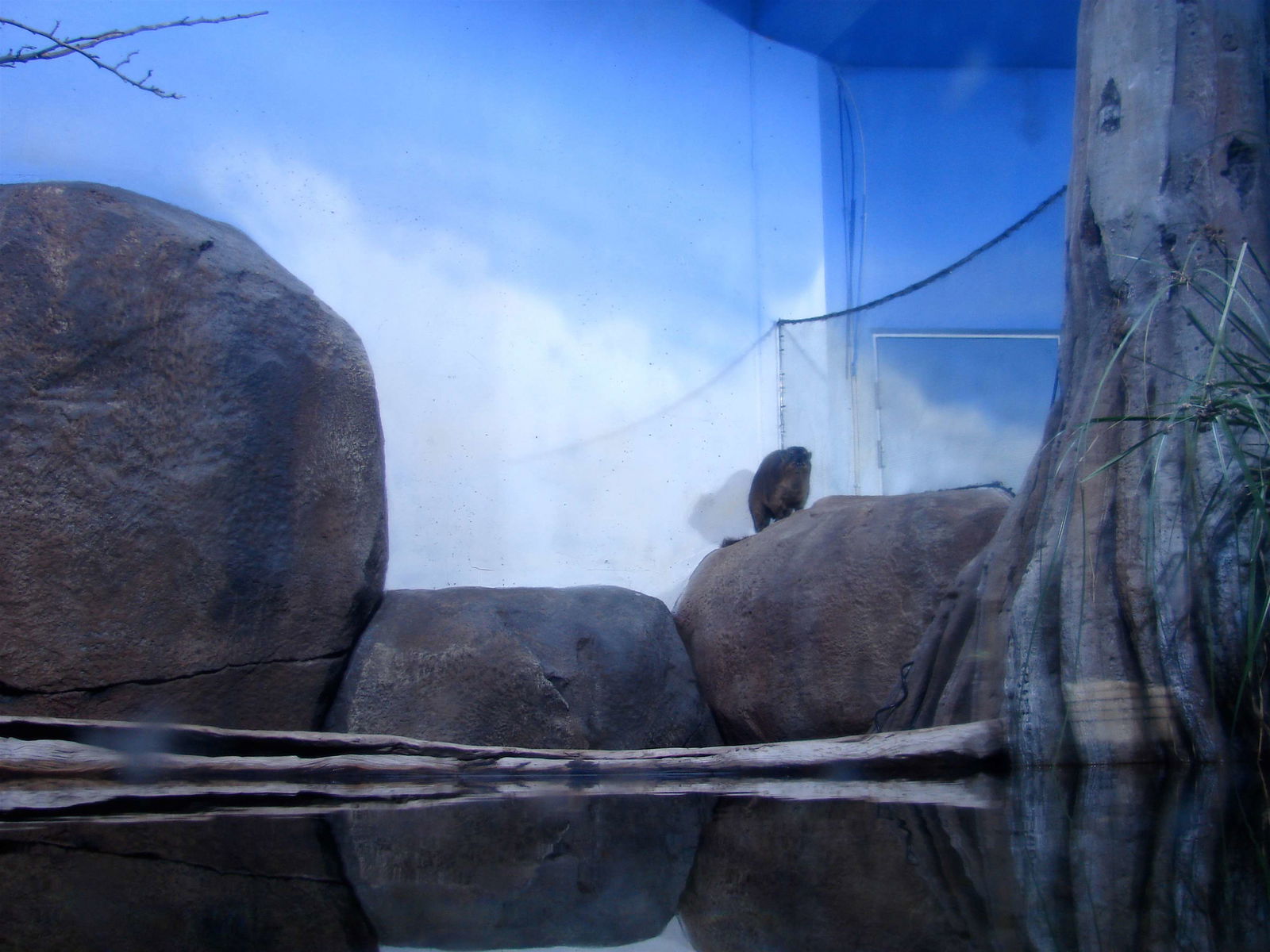 National Aquarium Denmark