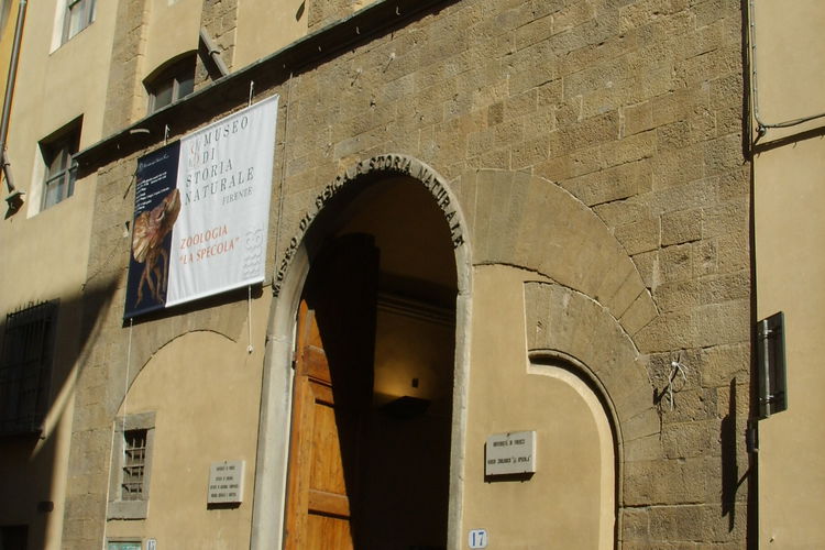 Museo Zoologico La Specola