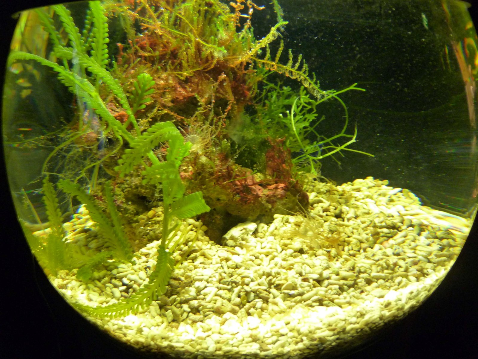 Aquaria Water Museum