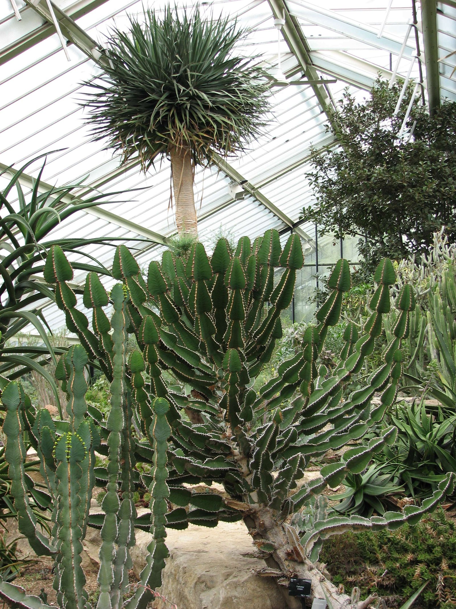 Royal Botanic Gardens, Kew